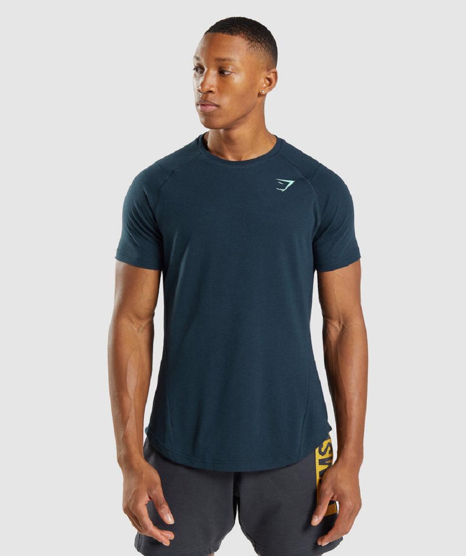 Gymshark Bold Muške T Shirts Tamnoplave | HR 2398XYU